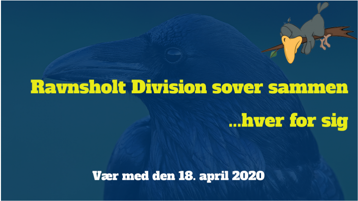 Ravnsholt Division sover sammen hver for sig