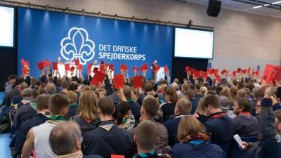 Billed af en masse spejder på KRM 